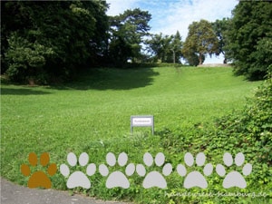 Hundewiese Hindenburgpark